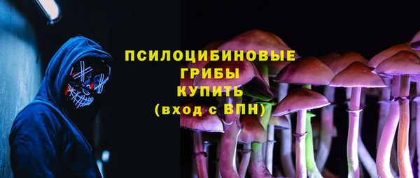 твердый Осташков