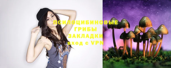 твердый Осташков