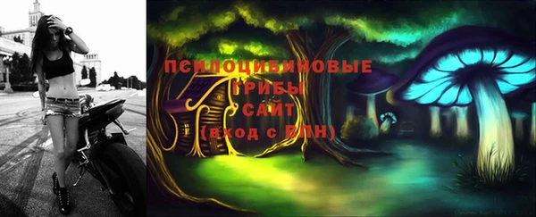 твердый Осташков