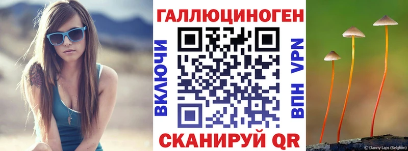 OMG ONION  Рославль  Галлюциногенные грибы GOLDEN TEACHER 