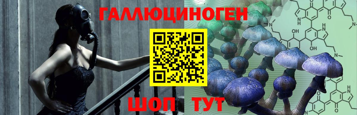 Рославль  Псилоцибиновые грибы ЛСД  Вход с VPN 